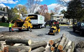 Best Artificial Turf Installation  in Adelphi, MD